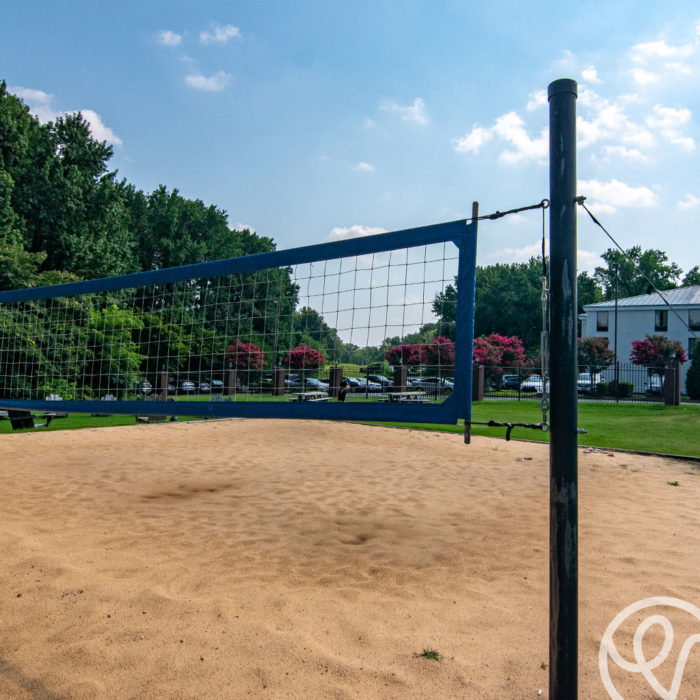 volley ball net